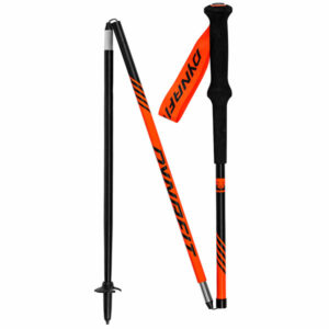 DYNAFIT ALPINE POLE